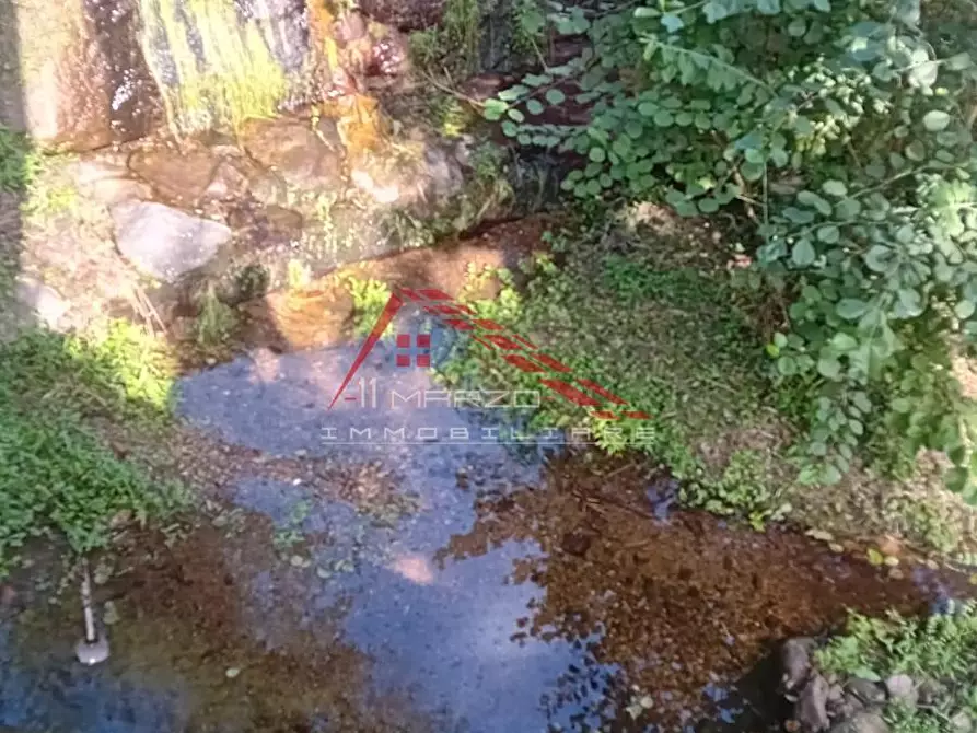 Immagine 22 di Villa in vendita  a Calci