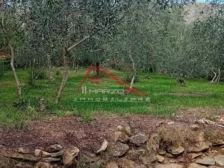 Immagine 21 di Villa in vendita  a Calci