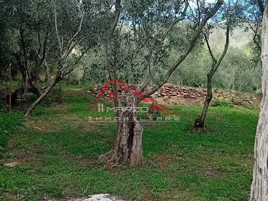 Immagine 18 di Villa in vendita  a Calci