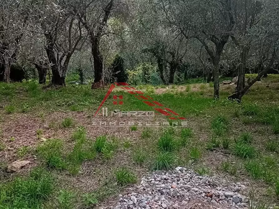 Immagine 12 di Villa in vendita  a Calci