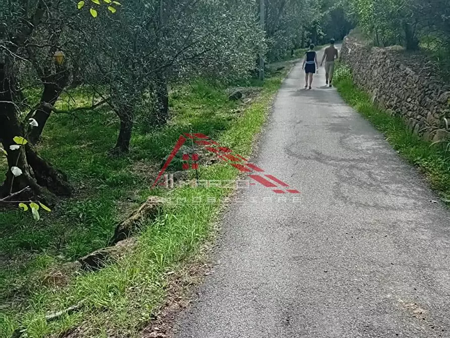 Immagine 6 di Villa in vendita  a Calci