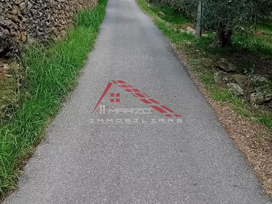 Immagine 14 di Villa in vendita  a Calci