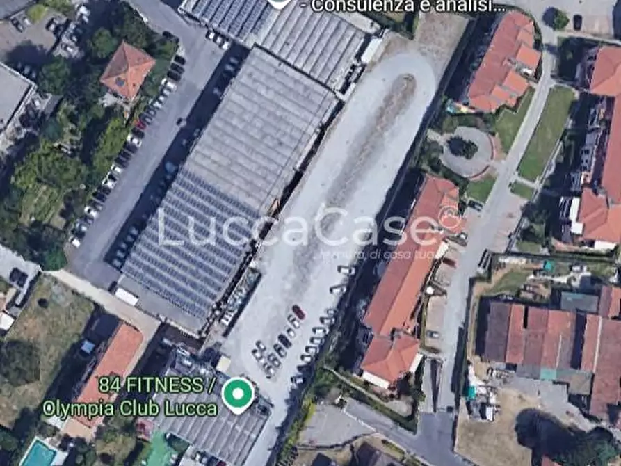 Immagine 3 di Ufficio in affitto  a Lucca