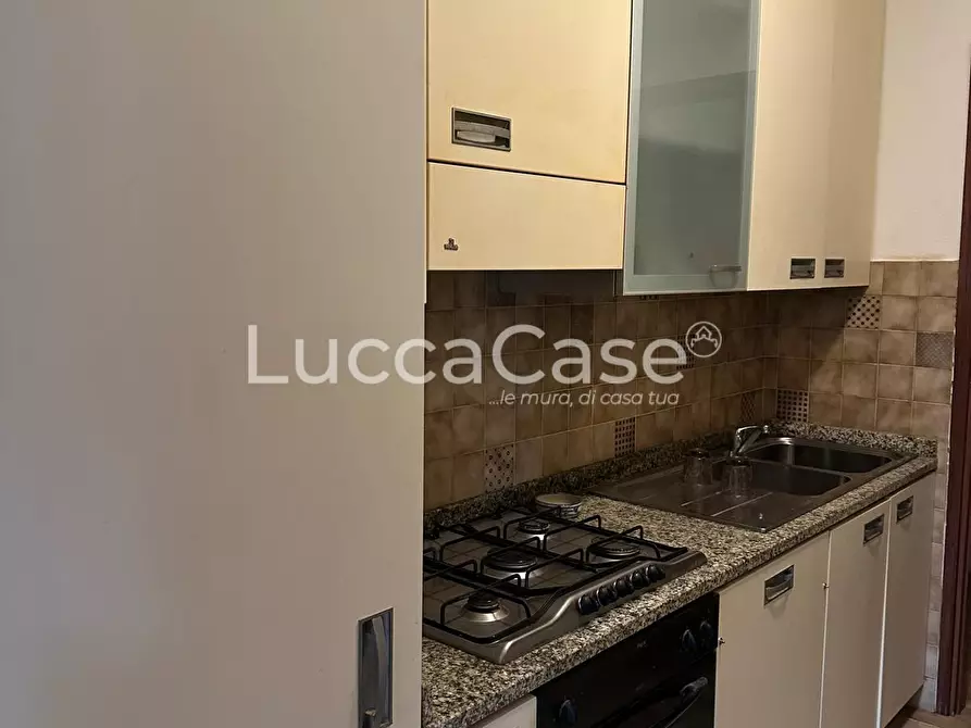 Immagine 11 di Appartamento in vendita  a Borgo A Mozzano