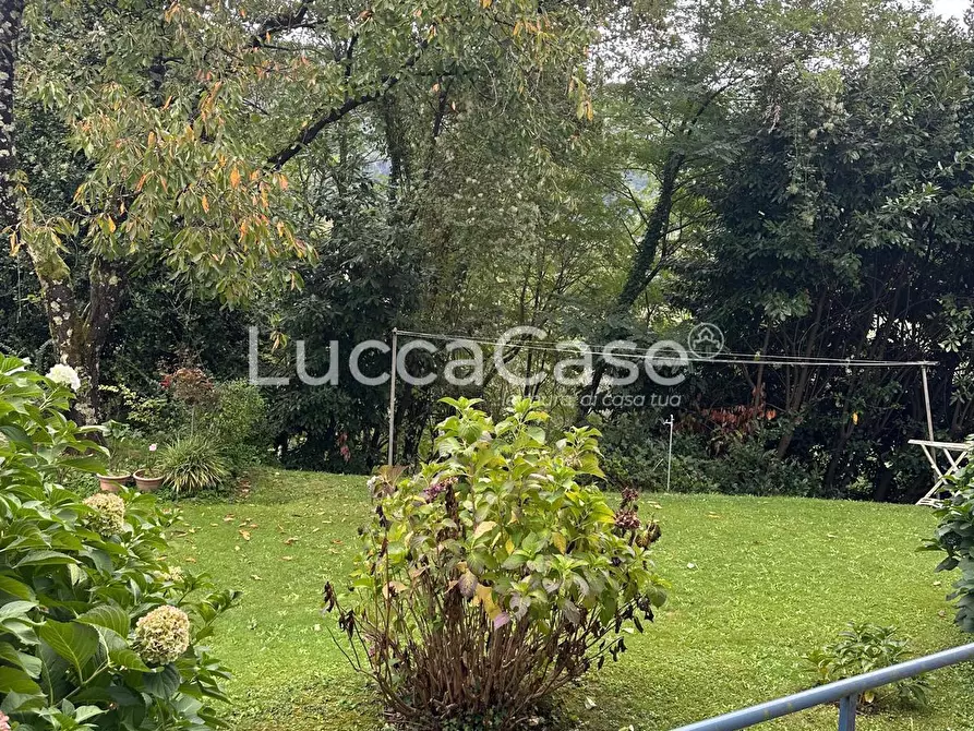 Immagine 24 di Appartamento in vendita  a Borgo A Mozzano