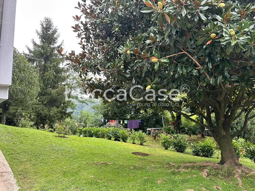 Immagine 23 di Appartamento in vendita  a Borgo A Mozzano