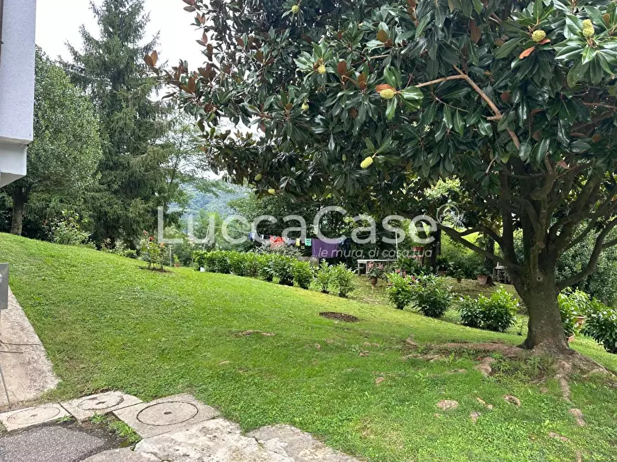 Immagine 22 di Appartamento in vendita  a Borgo A Mozzano