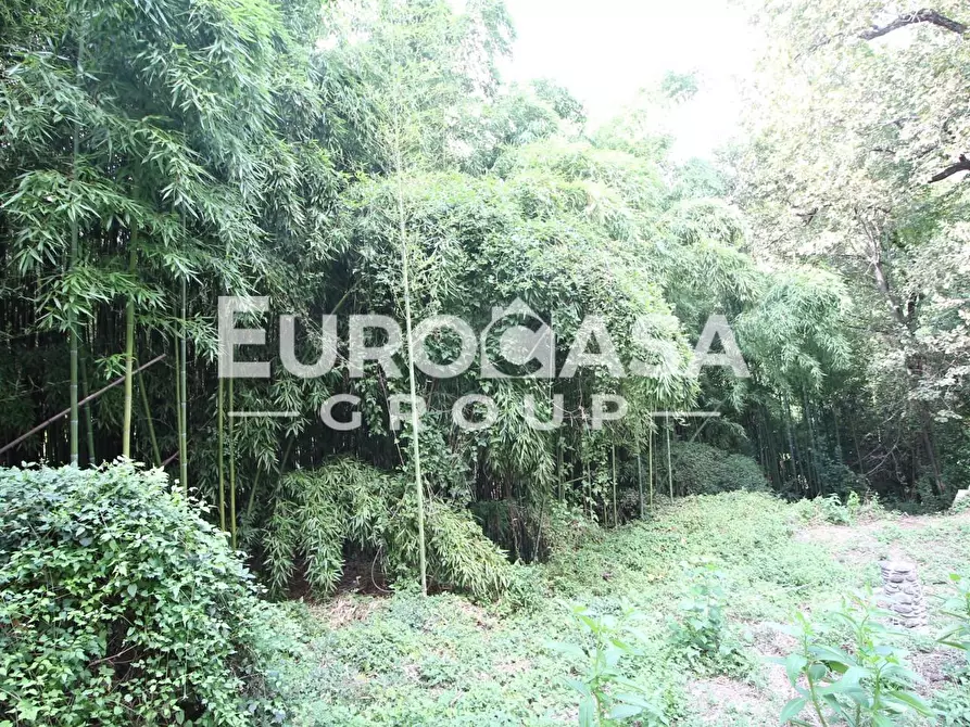 Immagine 21 di Villetta a schiera in vendita  a Lucca