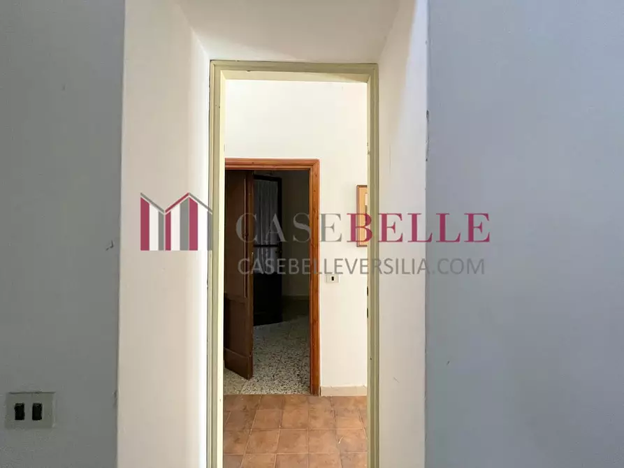 Immagine 15 di Terratetto in vendita  a Camaiore