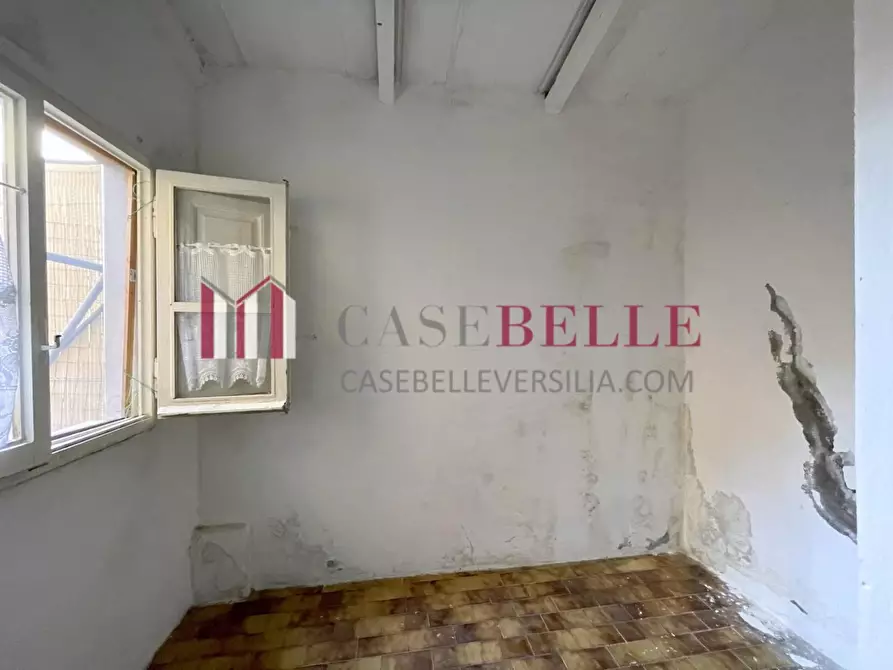 Immagine 22 di Terratetto in vendita  a Camaiore