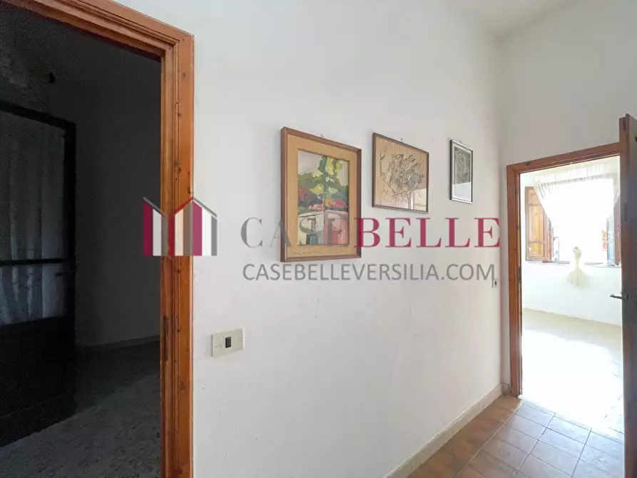 Immagine 11 di Terratetto in vendita  a Camaiore