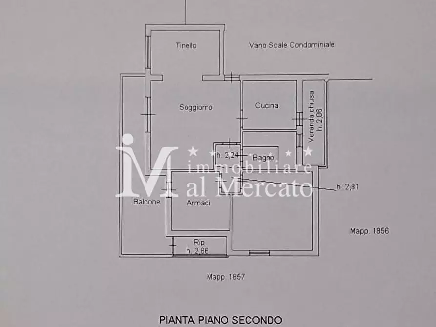 Immagine 38 di Appartamento in vendita  a Viareggio