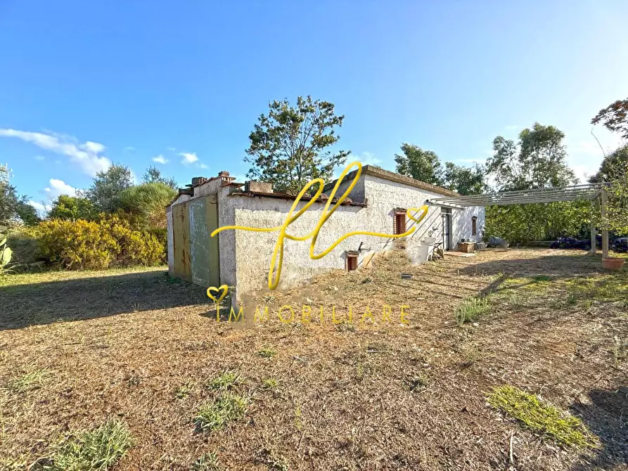 Immagine 7 di Terreno agricolo in vendita  a Cecina