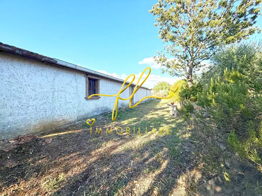 Immagine 3 di Terreno agricolo in vendita  a Cecina