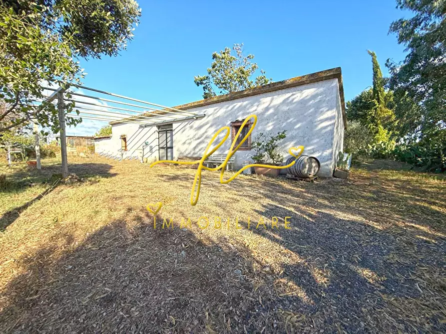 Immagine 1 di Terreno agricolo in vendita  a Cecina