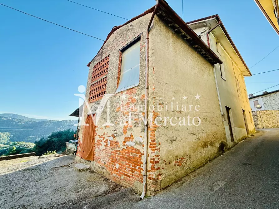 Immagine 2 di Terratetto in vendita  a Lucca