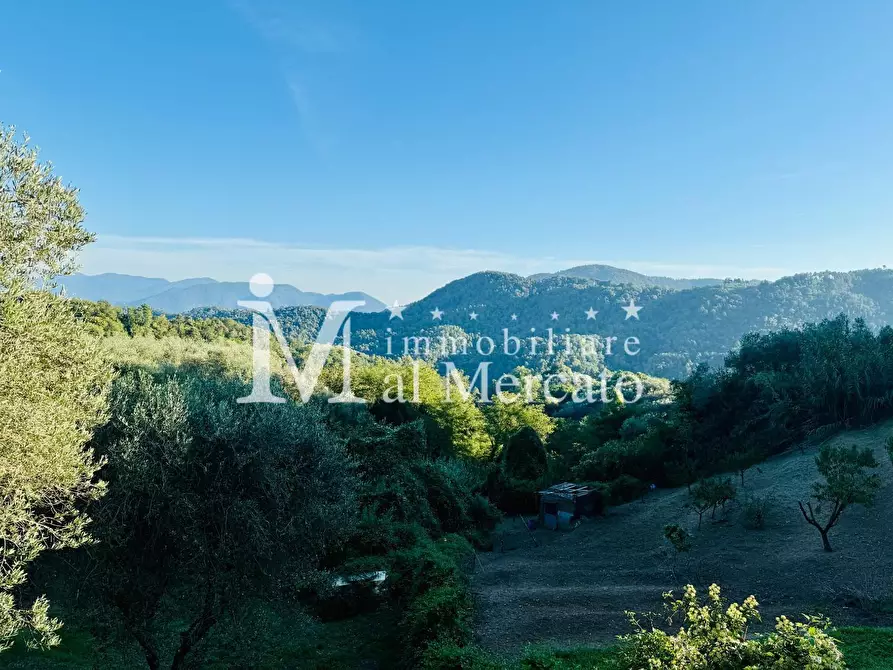 Immagine 6 di Terratetto in vendita  a Lucca