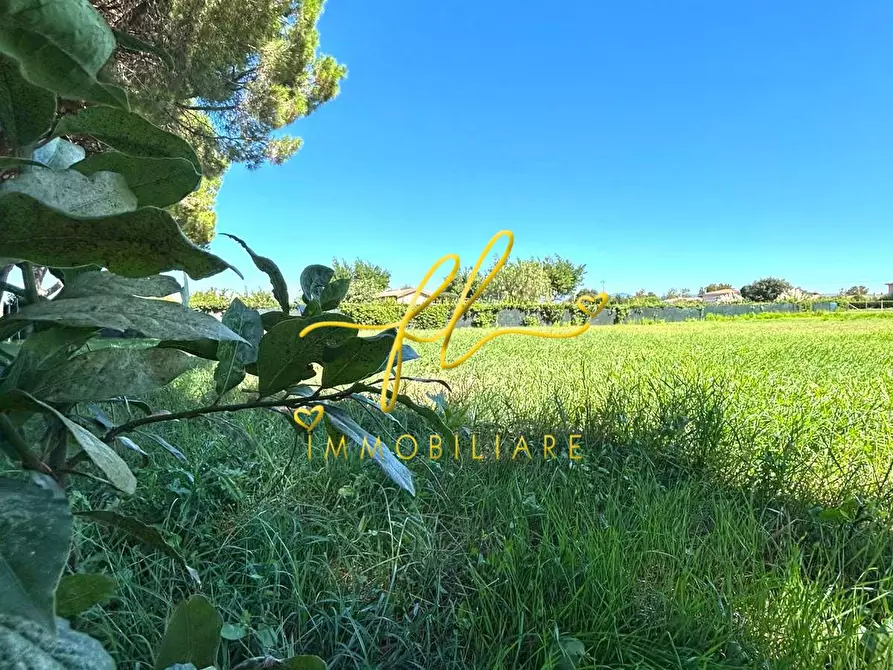 Immagine 2 di Terreno agricolo in vendita  a Cecina