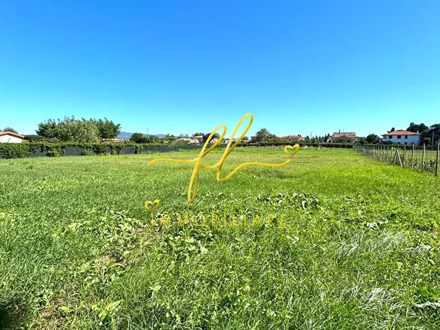 Immagine 3 di Terreno agricolo in vendita  a Cecina