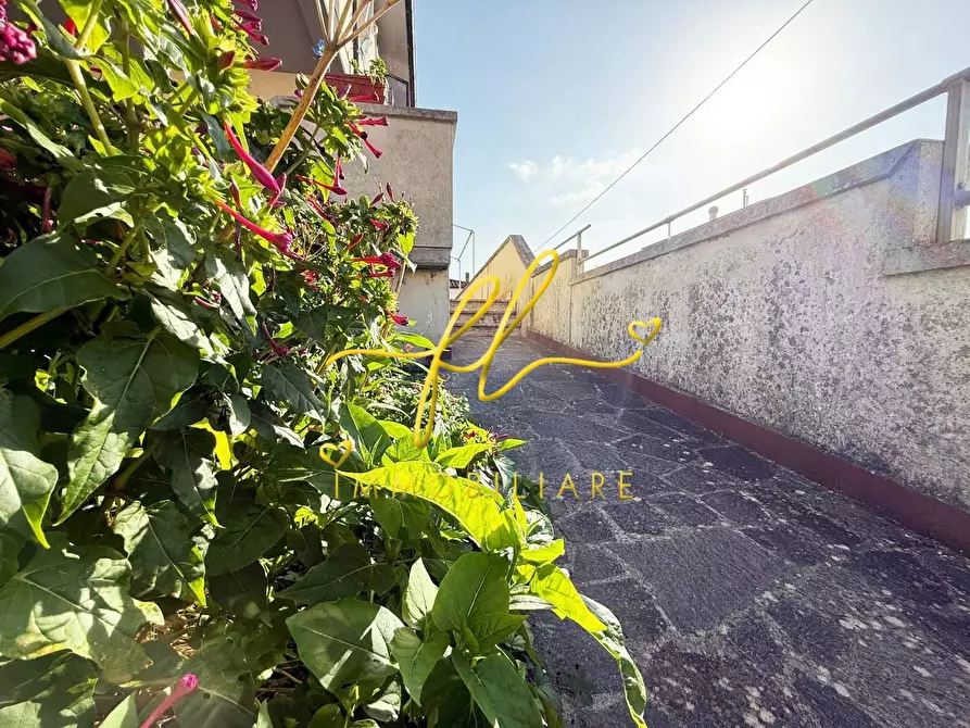 Immagine 16 di Appartamento in vendita  a Montescudaio