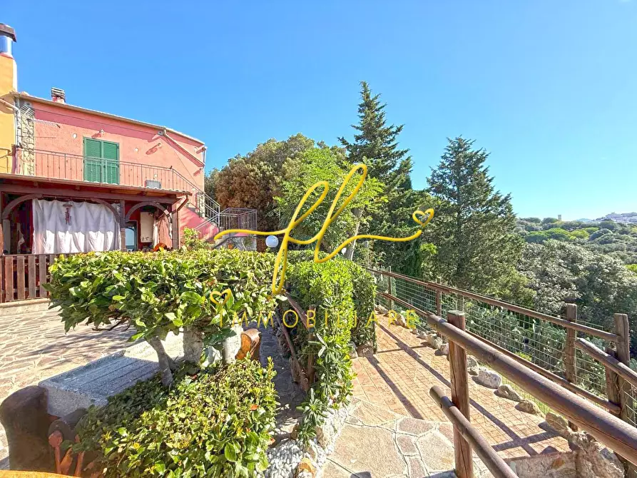 Immagine 25 di Terratetto in vendita  a Rosignano Marittimo