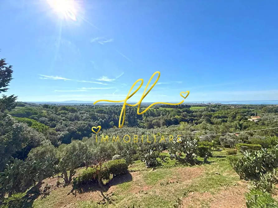 Immagine 20 di Terratetto in vendita  a Rosignano Marittimo