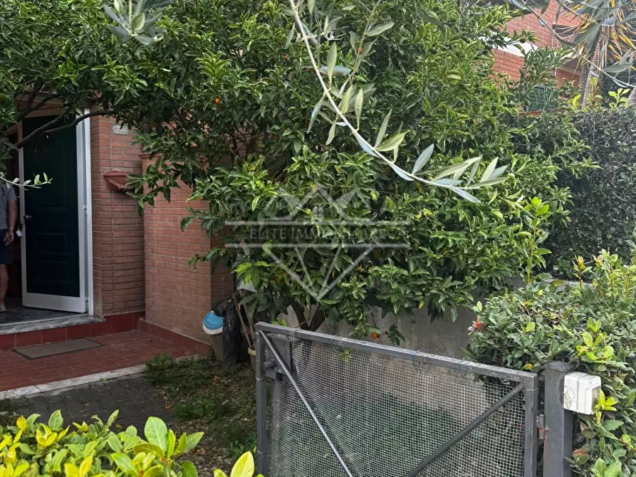 Immagine 32 di Villetta a schiera in vendita  a Massa