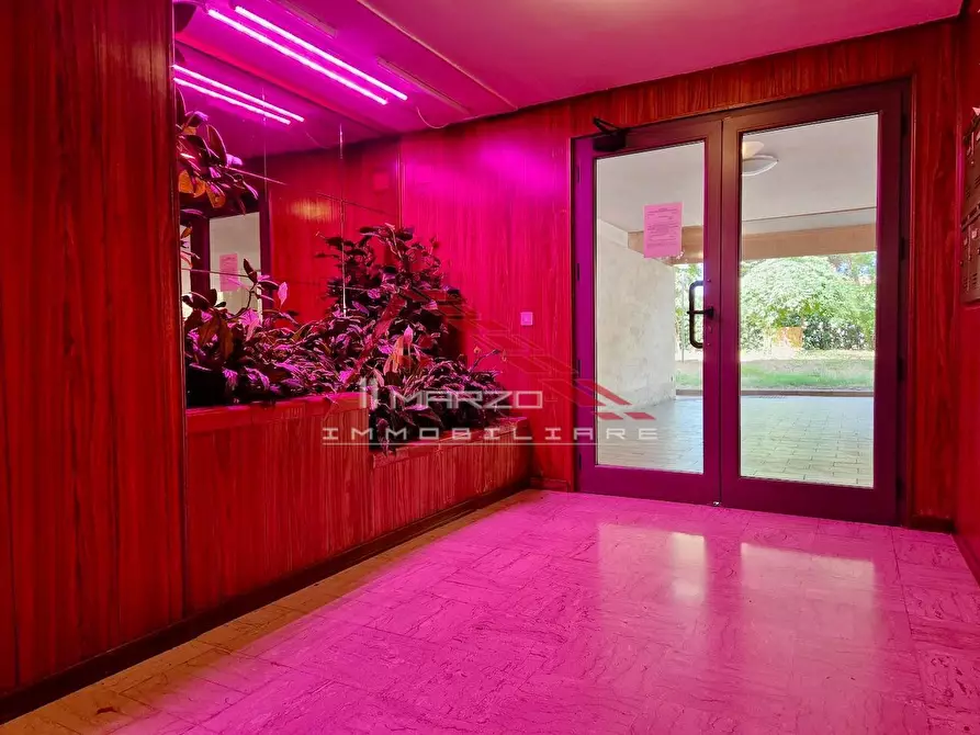 Immagine 43 di Appartamento in vendita  a Pisa