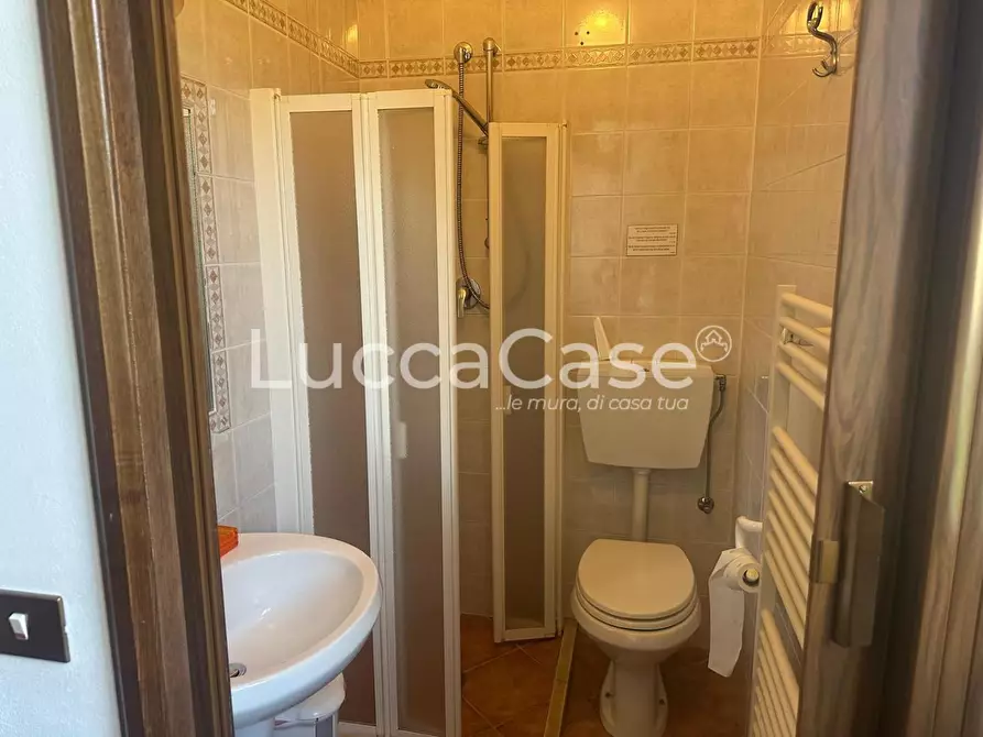 Immagine 21 di Villa in vendita  a Lucca