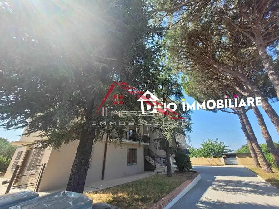 Immagine 3 di Appartamento in vendita  a San Giuliano Terme