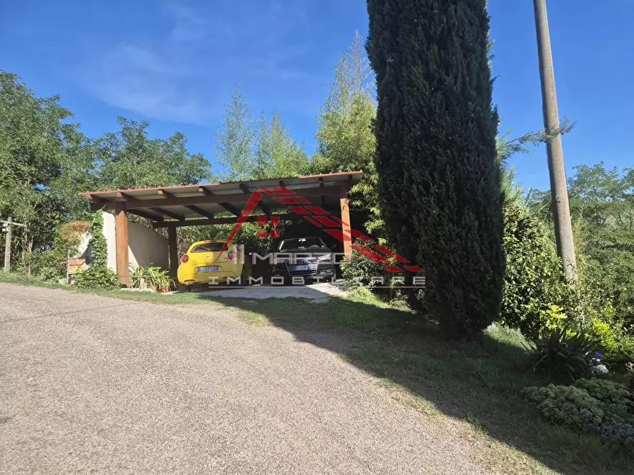 Immagine 26 di Terratetto in vendita  a Casciana Terme Lari