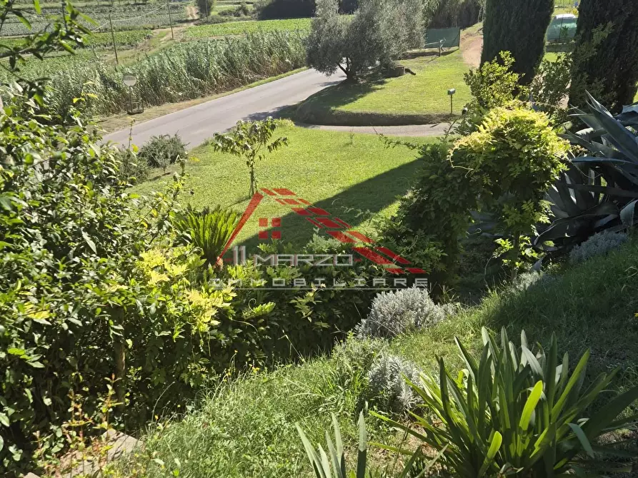 Immagine 5 di Terratetto in vendita  a Casciana Terme Lari