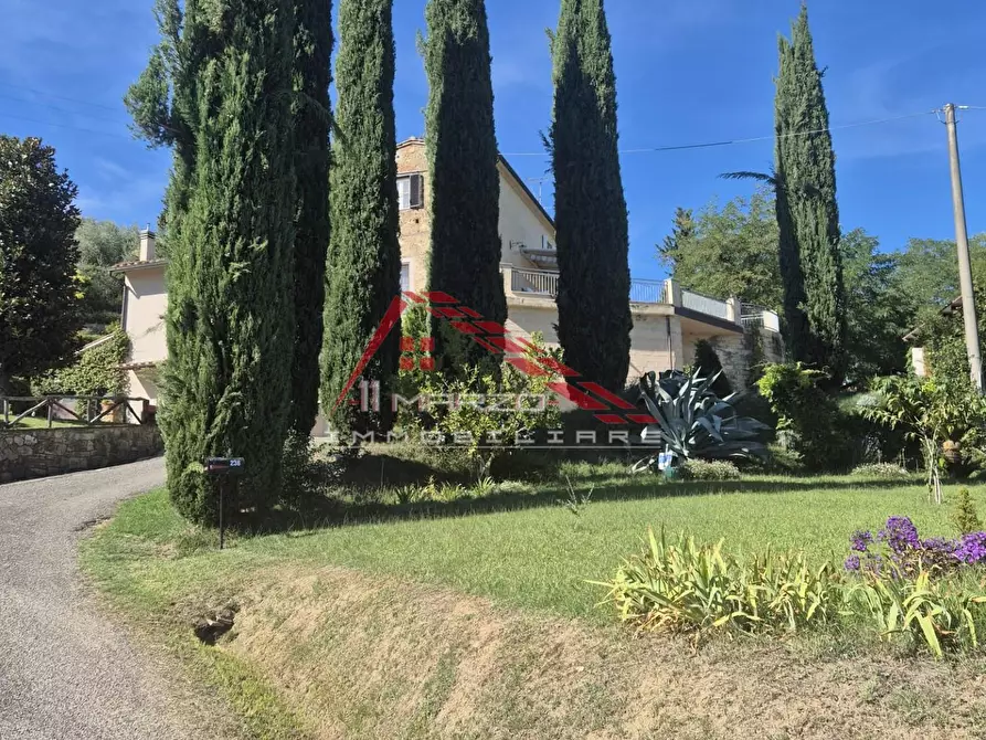 Immagine 30 di Terratetto in vendita  a Casciana Terme Lari