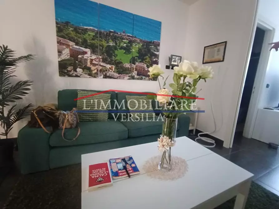 Immagine 50 di Villa in vendita  a Montignoso