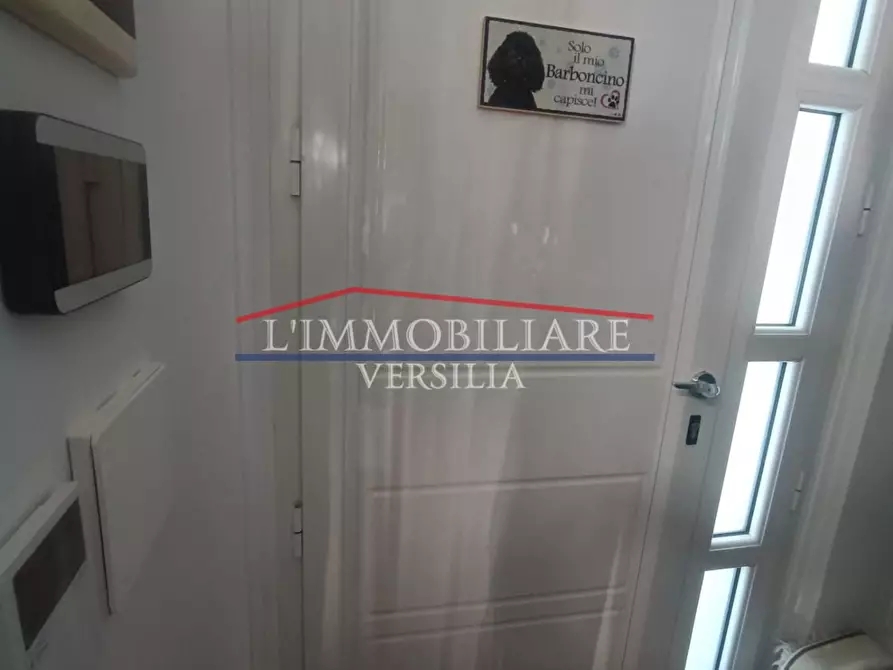 Immagine 40 di Villa in vendita  a Montignoso