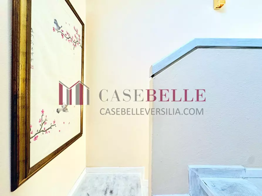 Immagine 46 di Casa bifamiliare in vendita  a Camaiore