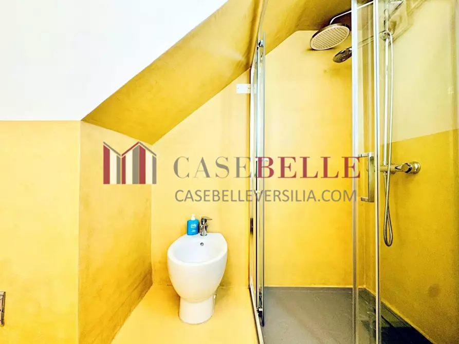 Immagine 25 di Casa bifamiliare in vendita  a Camaiore