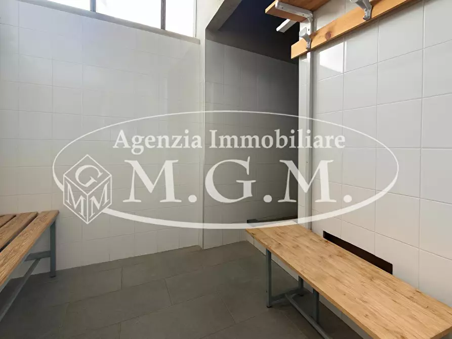 Immagine 13 di Attività artigianale in vendita  a Bientina