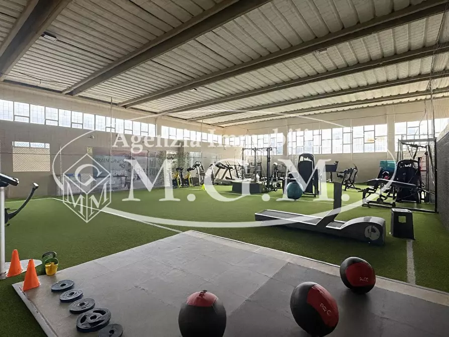 Immagine 4 di Attività artigianale in vendita  a Bientina