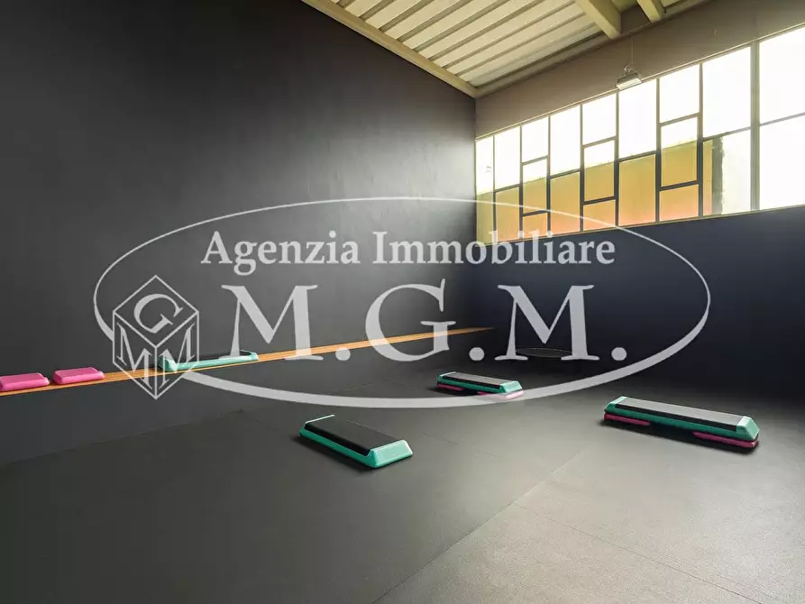 Immagine 6 di Attività artigianale in vendita  a Bientina