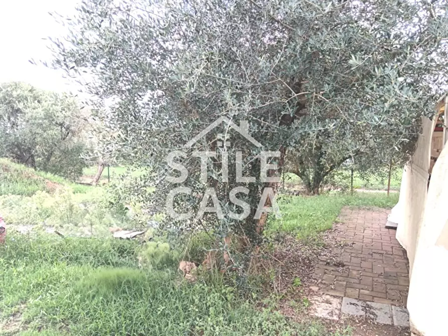 Immagine 19 di Terratetto in vendita  a Castelfranco Di Sotto