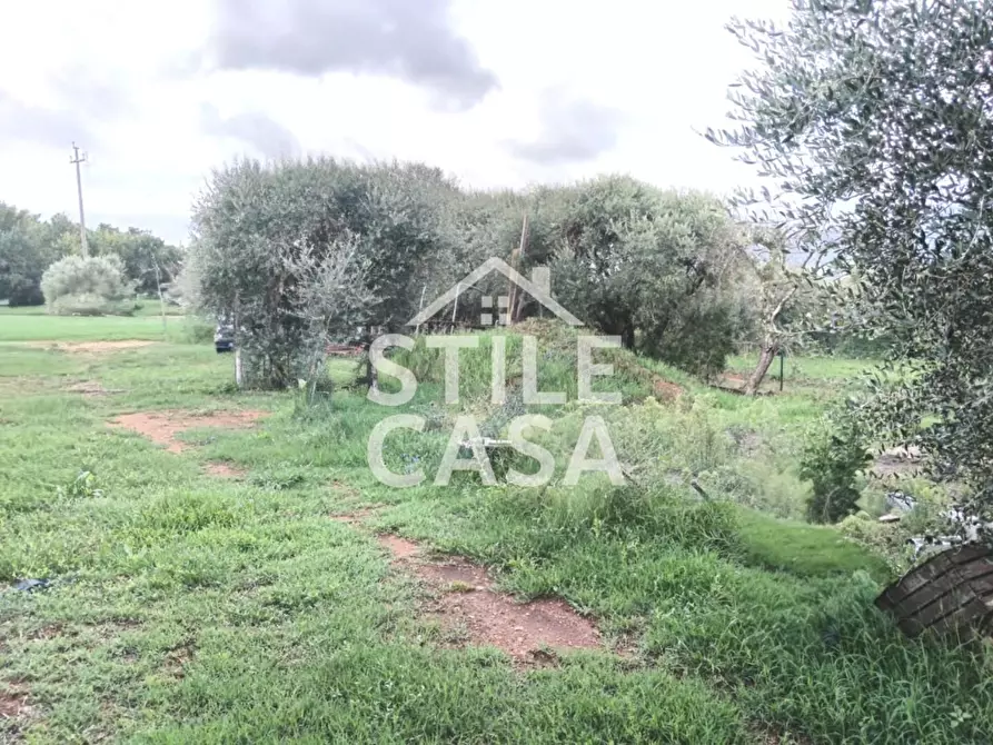 Immagine 20 di Terratetto in vendita  a Castelfranco Di Sotto