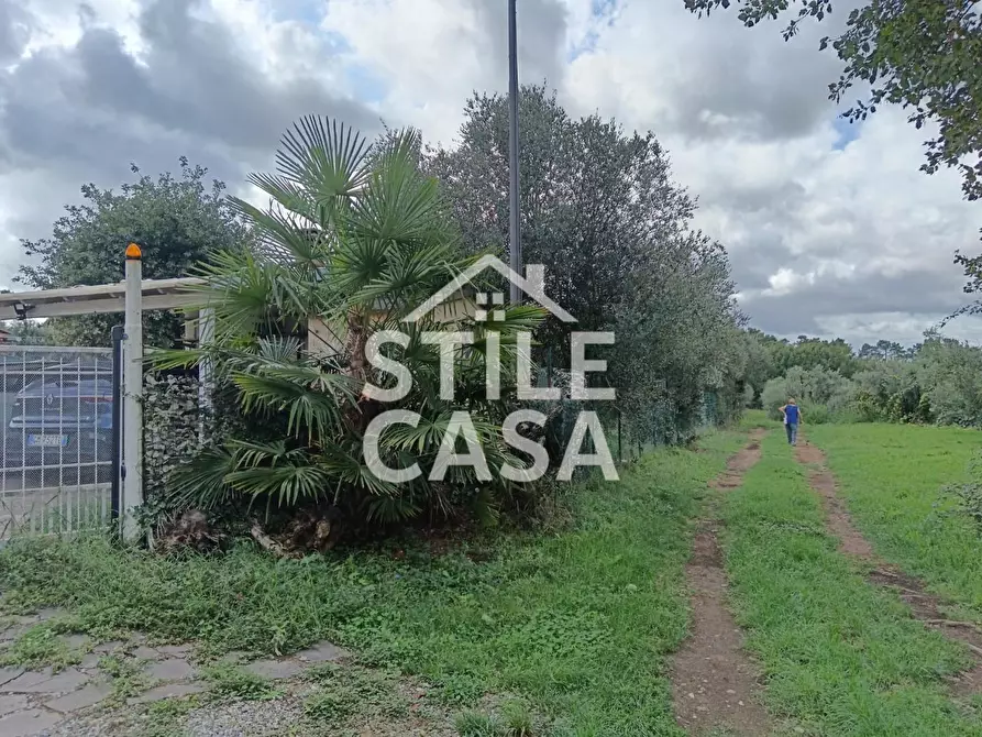 Immagine 9 di Terratetto in vendita  a Castelfranco Di Sotto