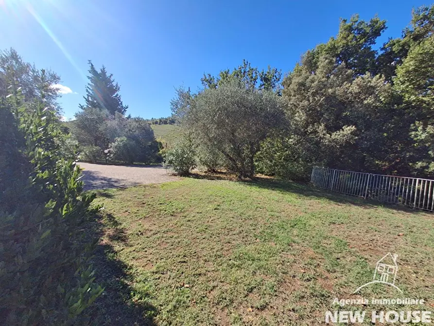Immagine 10 di Casa colonica in vendita  a Casciana Terme Lari