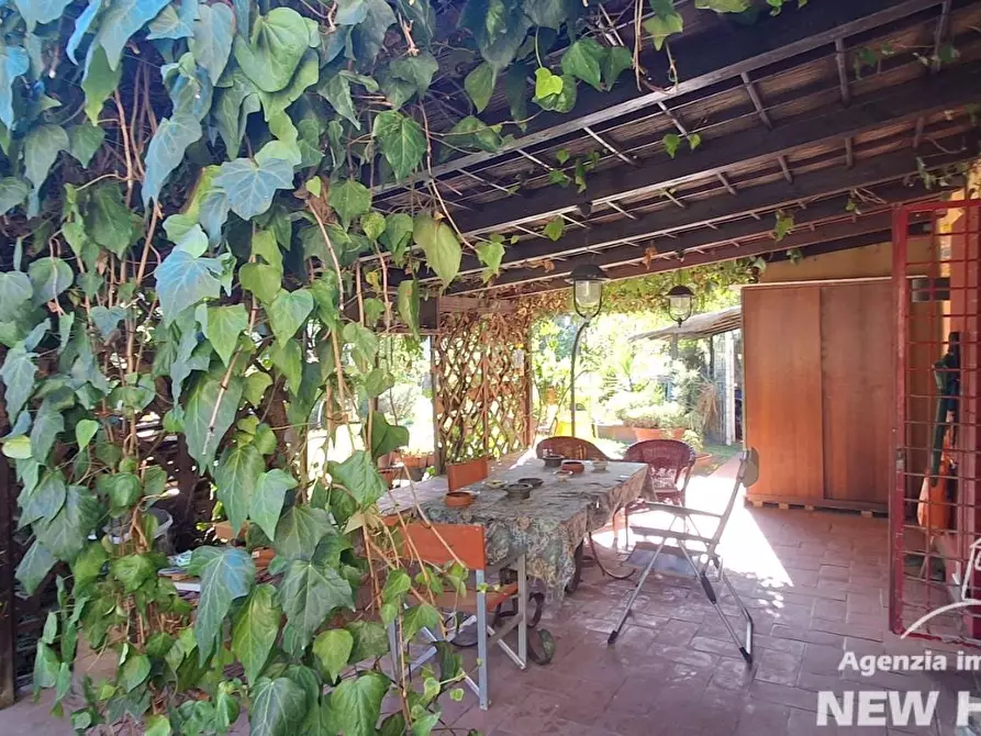 Immagine 3 di Casa colonica in vendita  a Casciana Terme Lari