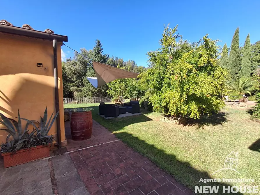 Immagine 8 di Casa colonica in vendita  a Casciana Terme Lari