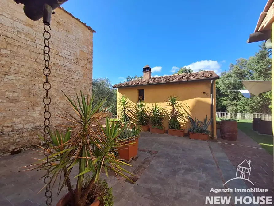 Immagine 7 di Casa colonica in vendita  a Casciana Terme Lari