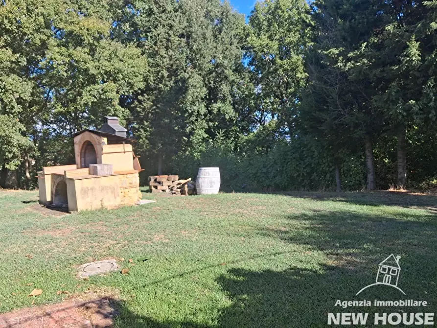 Immagine 18 di Casa colonica in vendita  a Casciana Terme Lari