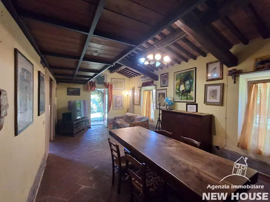 Immagine 21 di Casa colonica in vendita  a Casciana Terme Lari