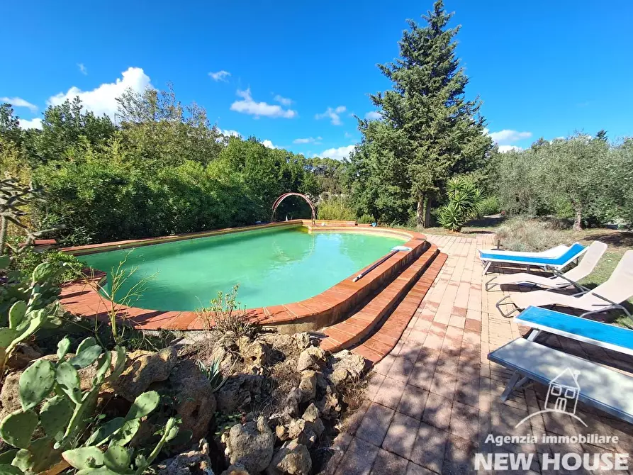 Immagine 17 di Casa colonica in vendita  a Casciana Terme Lari